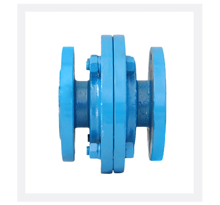 Check valves